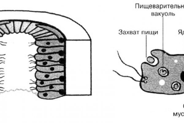 Кракен настоящий сайт