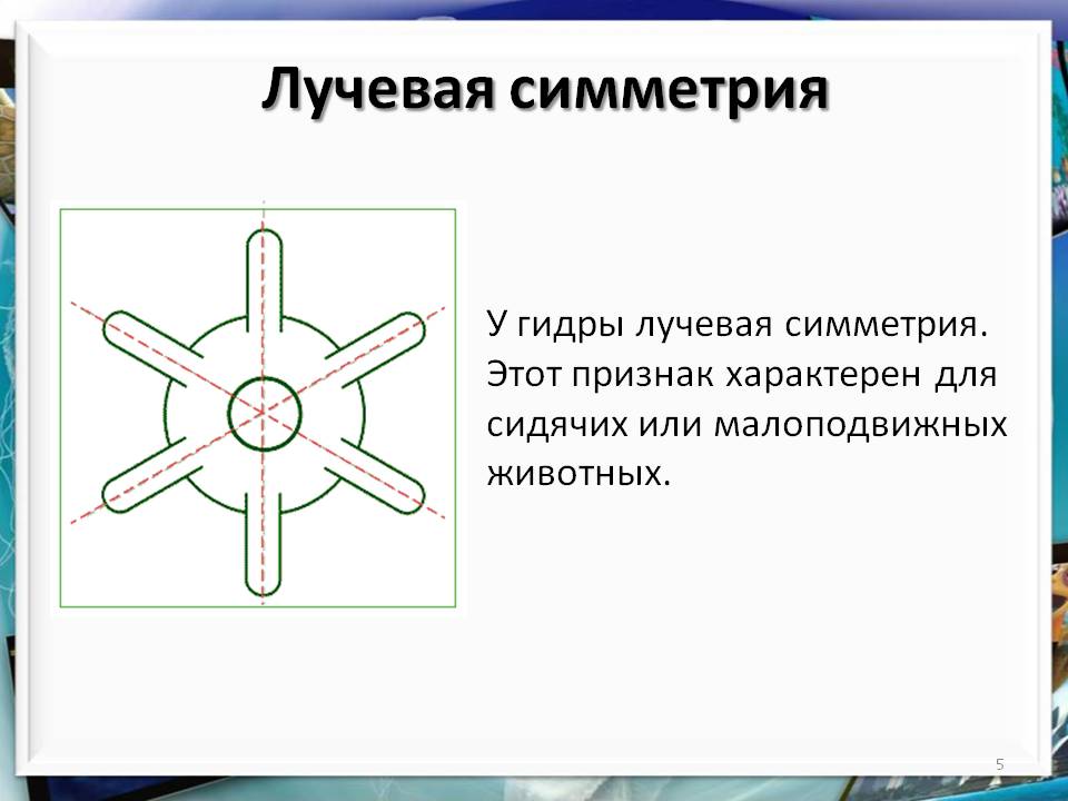 Кракен 9ат