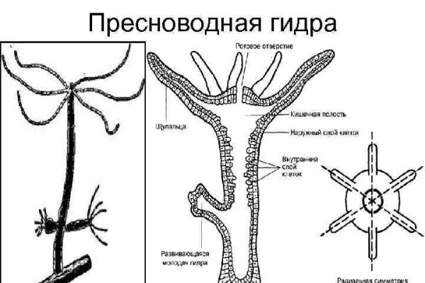 Кракен наркотики в оренбурге