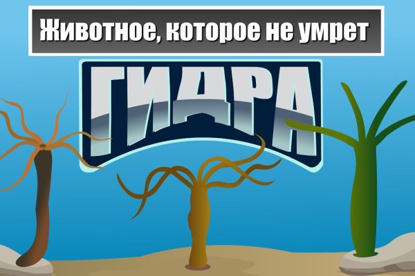Ссылка на кракен реальная