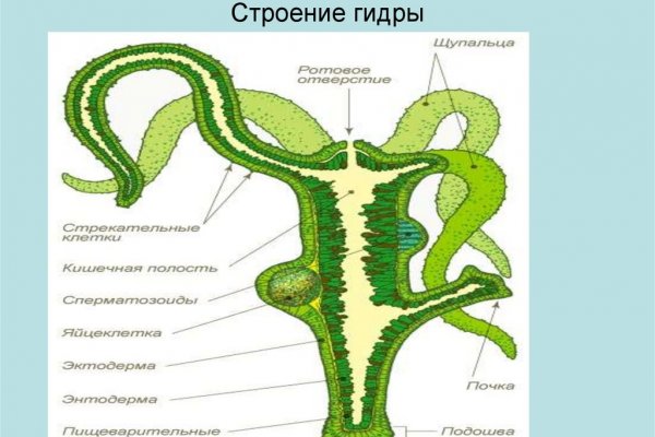 Актуальное зеркало на кракен