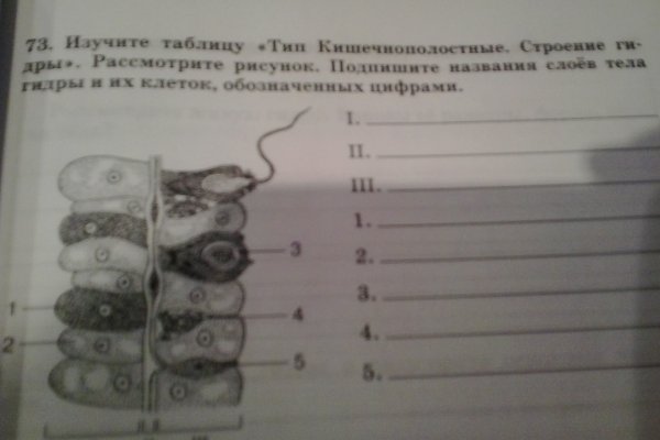 Kraken ссылка onion 2kmp