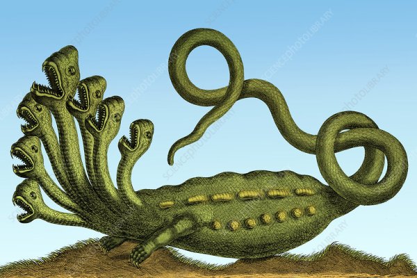 Официальный сайт kraken kraken clear com