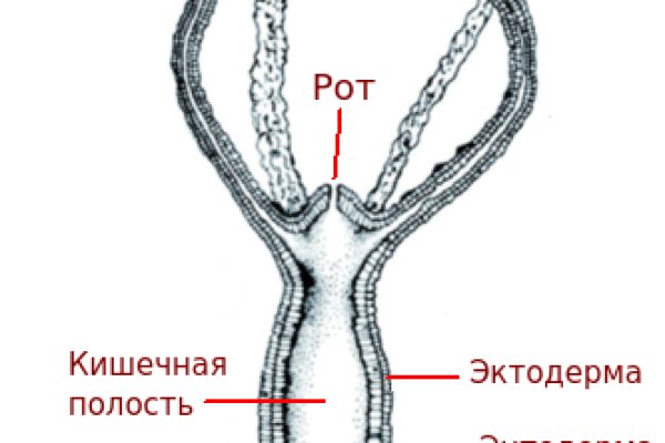 Кракен тгк